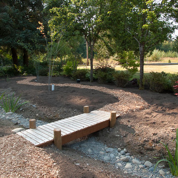 Stream bank