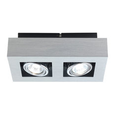 Ceiling Track Light, Brushed Aluminum, Chrome, Black, 2 Light