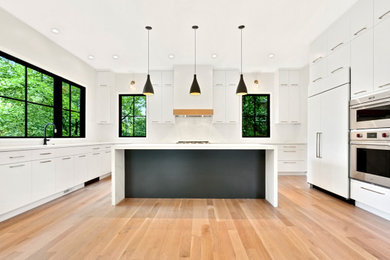 Example of a minimalist kitchen design in DC Metro