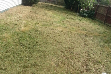 Before and after Lawn mowing