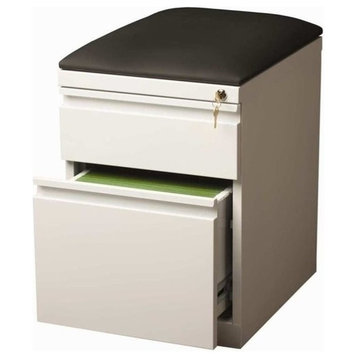 Pemberly Row 2-Drawer Metal Mobile Pedestal File Cabinet in White/Black