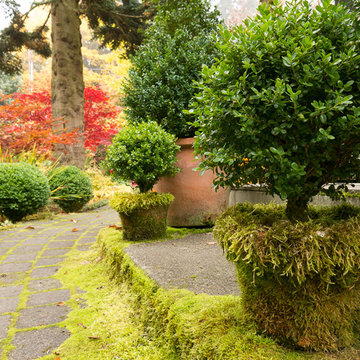 Moss elements in the garden