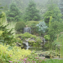 our landscaping