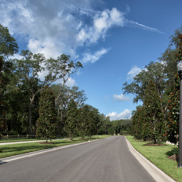 Twenty Mile Village