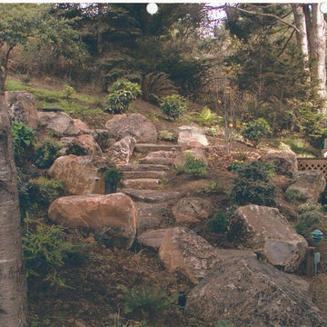 Sonoma Fieldstone (AKA Moss Rock)