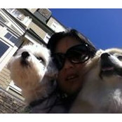 Amy Wang's photo