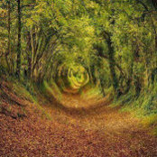Anthony wang's photo