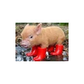 Lisa Muncaster's photo