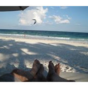 Cathy Gordon's photo