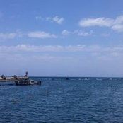 Dmeiry Dmery's photo