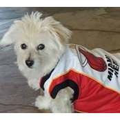 Martin Waggingstein's photo