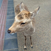 n.s.さんの写真