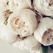 Chanel Dunn's photo