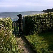 Susan Parker's photo