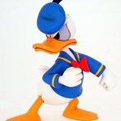 Foto von Donald Allison-Carnie