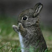 Sharon Fleck's photo
