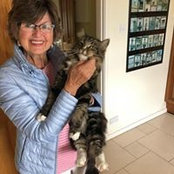 Julie Klopping's photo