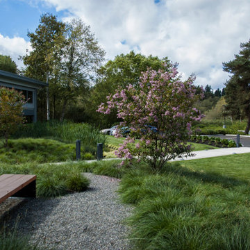 Bench nestled in landscape