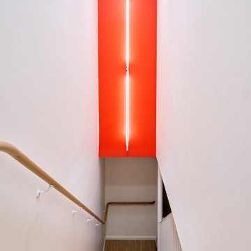 Society Hill: Mid Century Modern