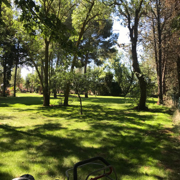 le petit parc