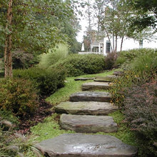 gardening inspiration