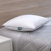 CBD Infused Pillow, Standard