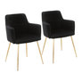 Gold Metal, Black Velvet