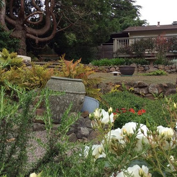 Sebastopol Retreat