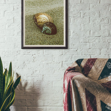 Dreamy Beach Seashells Coastal Nature Wall Art Print