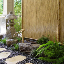 Water Feature