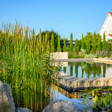 Naturnaher Gartenteich mit Röhricht und Seerosen