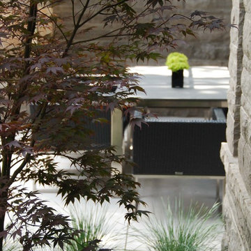 Modern Landscape