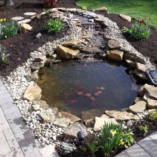Water Feature