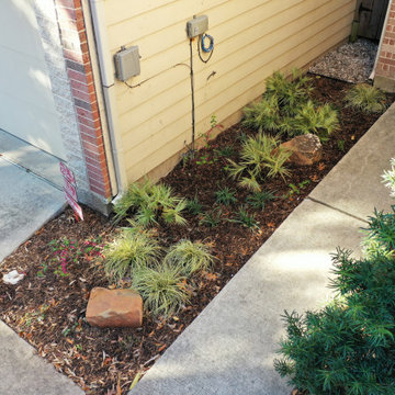 Erickson: Townhouse Shade Landscape