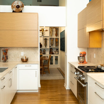 Contemporary Kitchen for the Art Lover