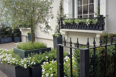 Bespoke Fibreglass Planters for a London Front Garden