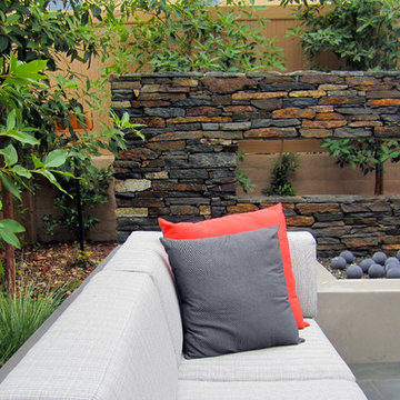 San Juan Capistrano Contemporary Woodland