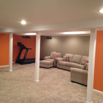 Basement Remodel