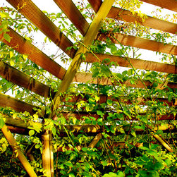 Hexagonal Slatted Roof Gazebo - Products