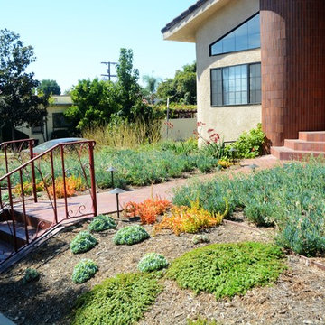 drought tolerant conversion with color