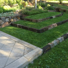 Front Yard Potomac