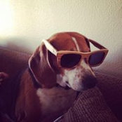 Stobby Bolp's photo