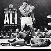 Nadir Ibrahim's photo