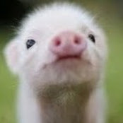 Aurelia Colvin's photo