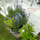 scott_robertson53