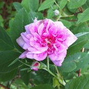 Sandy Maine's photo
