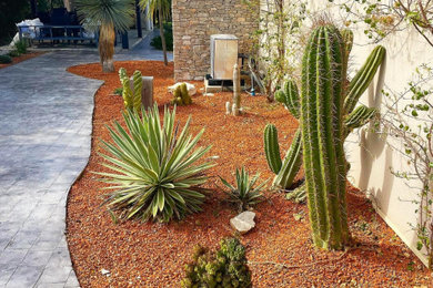 Idée de décoration pour un jardin sud-ouest américain.