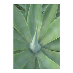 Nature's Close Up Art Print - Prints And Posters