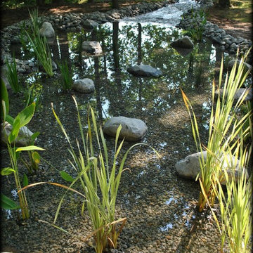LARGE SCALE KOI POND w/ WETLAND FILTRATION