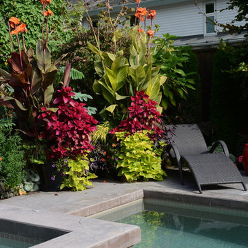 Poolside Garden and Containers
